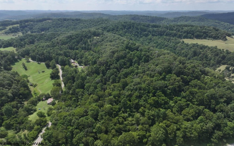 0 Lifes Run Road, Jane Lew, West Virginia 26378, ,Lots/land,For Sale,Lifes Run,10160555
