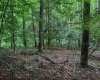 TBD Laurel Dale Road, New Creek, West Virginia 26743, ,Lots/land,For Sale,Laurel Dale,10160569