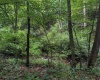 TBD Laurel Dale Road, New Creek, West Virginia 26743, ,Lots/land,For Sale,Laurel Dale,10160569