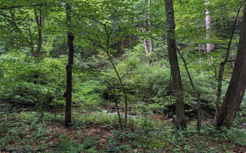TBD Laurel Dale Road, New Creek, West Virginia 26743, ,Lots/land,For Sale,Laurel Dale,10160569