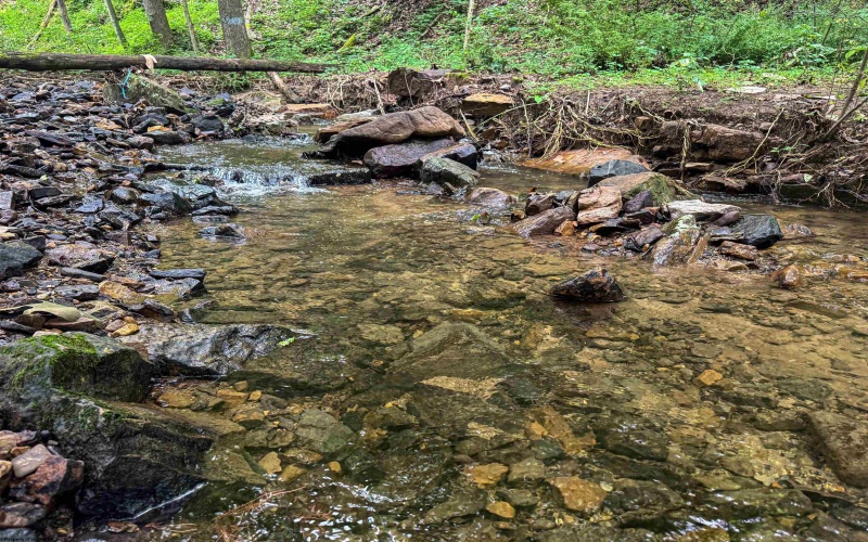 TBD Laurel Dale Road, New Creek, West Virginia 26743, ,Lots/land,For Sale,Laurel Dale,10160569