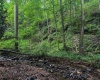 TBD Laurel Dale Road, New Creek, West Virginia 26743, ,Lots/land,For Sale,Laurel Dale,10160569