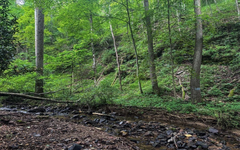 TBD Laurel Dale Road, New Creek, West Virginia 26743, ,Lots/land,For Sale,Laurel Dale,10160569