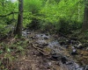 TBD Laurel Dale Road, New Creek, West Virginia 26743, ,Lots/land,For Sale,Laurel Dale,10160569
