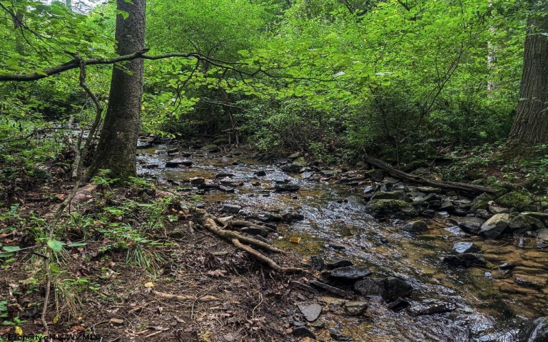 TBD Laurel Dale Road, New Creek, West Virginia 26743, ,Lots/land,For Sale,Laurel Dale,10160569