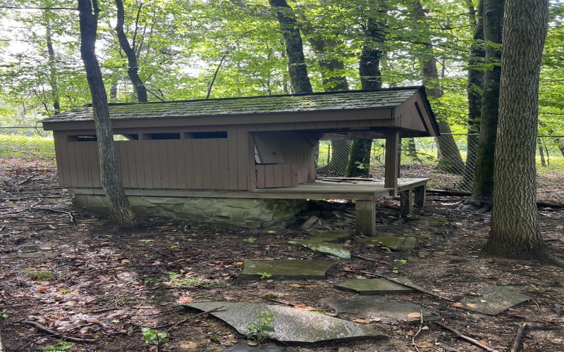 463 Eastwood Drive, Elkins, West Virginia 26241, 4 Bedrooms Bedrooms, 10 Rooms Rooms,2 BathroomsBathrooms,Single Family Detached,For Sale,Eastwood,10160588