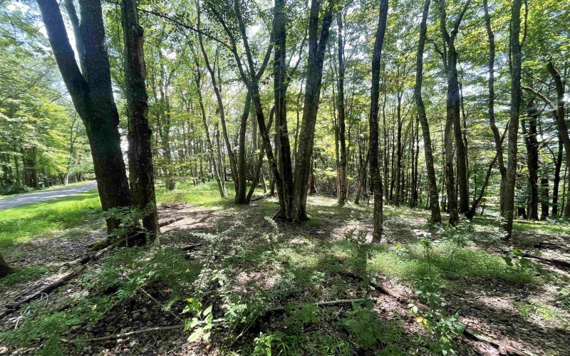 20 Mount Vista Drive, Buckhannon, West Virginia 26201, 4 Bedrooms Bedrooms, 9 Rooms Rooms,3 BathroomsBathrooms,Single Family Detached,For Sale,Mount Vista,10160585