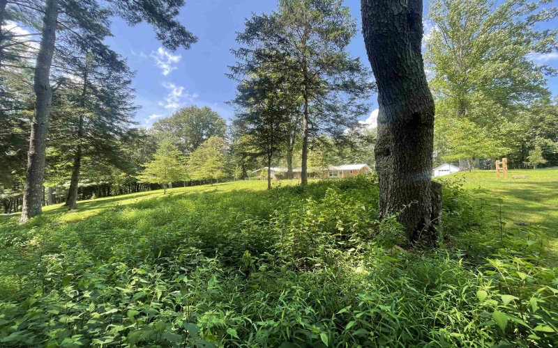 20 Mount Vista Drive, Buckhannon, West Virginia 26201, 4 Bedrooms Bedrooms, 9 Rooms Rooms,3 BathroomsBathrooms,Single Family Detached,For Sale,Mount Vista,10160585