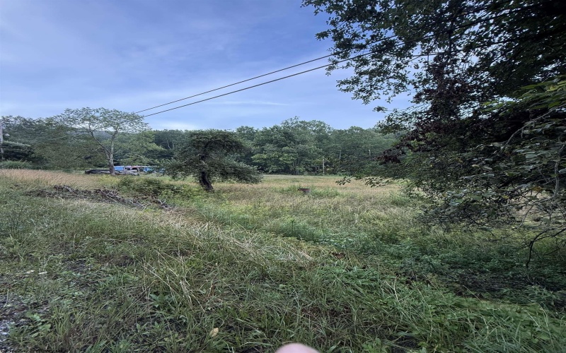 TBD Adolph Road, Mill Creek, West Virginia 26280, ,Lots/land,For Sale,Adolph,10160594