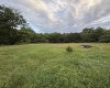 TBD Adolph Road, Mill Creek, West Virginia 26280, ,Lots/land,For Sale,Adolph,10160594