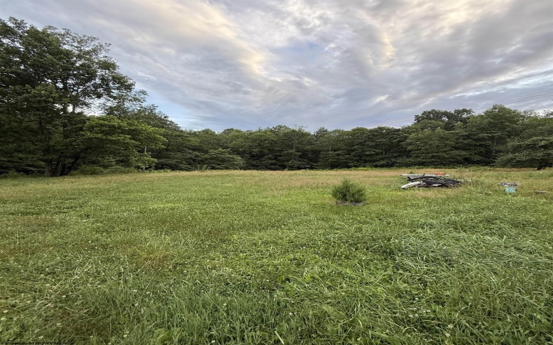 TBD Adolph Road, Mill Creek, West Virginia 26280, ,Lots/land,For Sale,Adolph,10160594