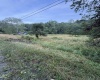 TBD Adolph Road, Mill Creek, West Virginia 26280, ,Lots/land,For Sale,Adolph,10160594