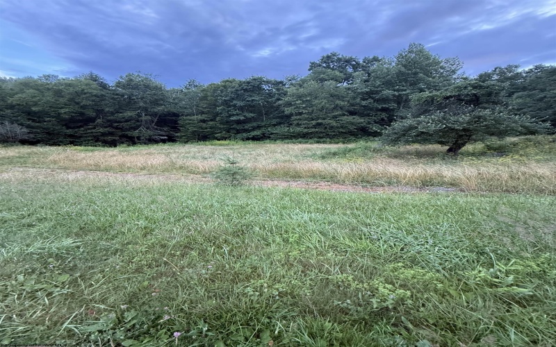 TBD Adolph Road, Mill Creek, West Virginia 26280, ,Lots/land,For Sale,Adolph,10160594
