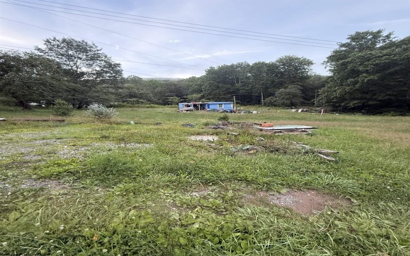 TBD Adolph Road, Mill Creek, West Virginia 26280, ,Lots/land,For Sale,Adolph,10160594