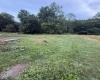 TBD Adolph Road, Mill Creek, West Virginia 26280, ,Lots/land,For Sale,Adolph,10160594