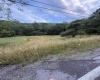 TBD Adolph Road, Mill Creek, West Virginia 26280, ,Lots/land,For Sale,Adolph,10160594