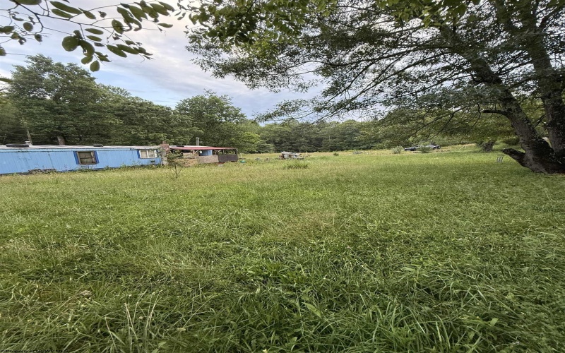 TBD Adolph Road, Mill Creek, West Virginia 26280, ,Lots/land,For Sale,Adolph,10160594
