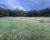 TBD Adolph Road, Mill Creek, West Virginia 26280, ,Lots/land,For Sale,Adolph,10160594