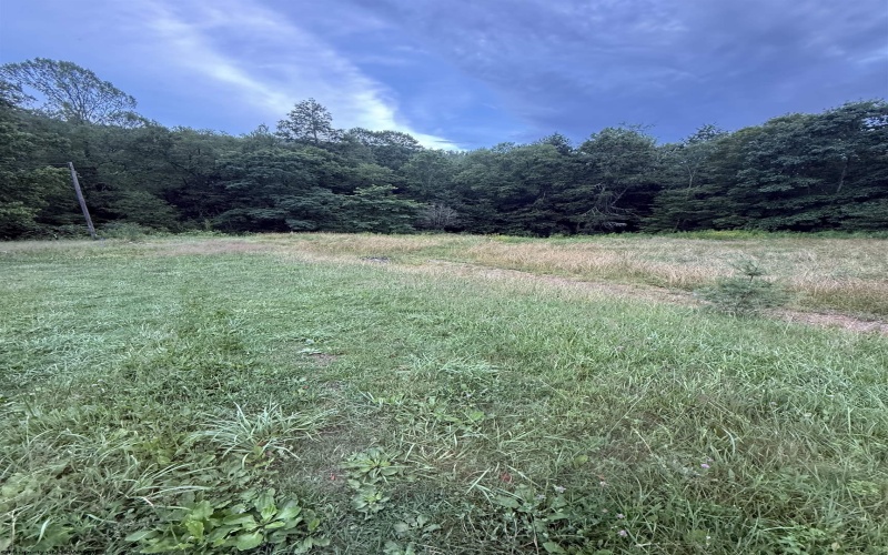 TBD Adolph Road, Mill Creek, West Virginia 26280, ,Lots/land,For Sale,Adolph,10160594
