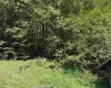 29035 Seneca Trail, Valley Head, West Virginia 26294, 3 Bedrooms Bedrooms, 7 Rooms Rooms,1 BathroomBathrooms,Single Family Detached,For Sale,Seneca,10160601
