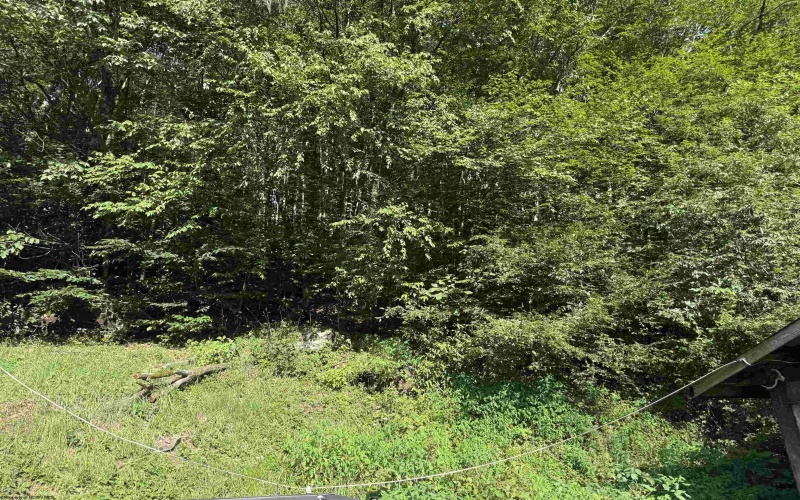 29035 Seneca Trail, Valley Head, West Virginia 26294, 3 Bedrooms Bedrooms, 7 Rooms Rooms,1 BathroomBathrooms,Single Family Detached,For Sale,Seneca,10160601