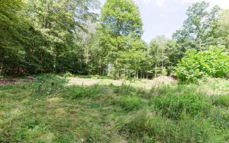 131 Coal Run Road, Albright, West Virginia 26519, 3 Bedrooms Bedrooms, 8 Rooms Rooms,2 BathroomsBathrooms,Single Family Detached,For Sale,Coal Run,10160615