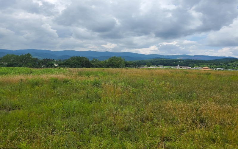 000 Plantation Drive, Elkins, West Virginia 26241, ,Lots/land,For Sale,Plantation,10160602