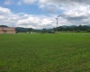 0 Plantation Drive, Elkins, West Virginia 26241, ,Lots/land,For Sale,Plantation,10160599