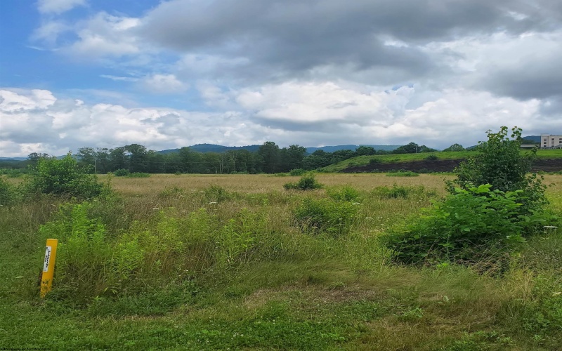 00 Plantation Drive, Elkins, West Virginia 26241, ,Lots/land,For Sale,Plantation,10160600