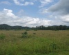 00 Plantation Drive, Elkins, West Virginia 26241, ,Lots/land,For Sale,Plantation,10160600