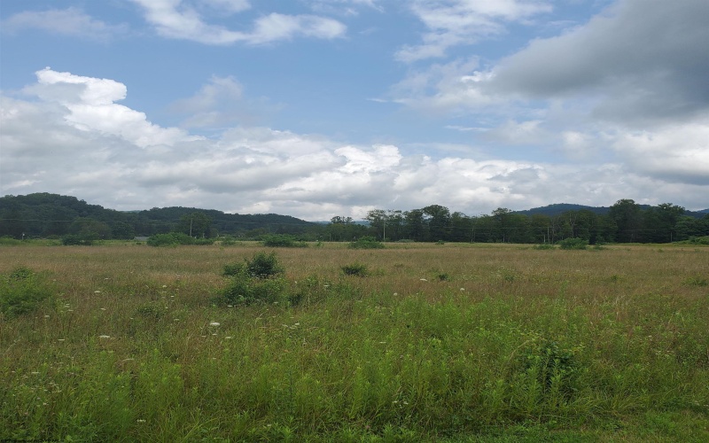 00 Plantation Drive, Elkins, West Virginia 26241, ,Lots/land,For Sale,Plantation,10160600