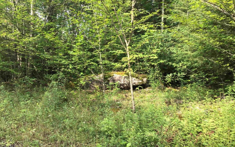 Lot 332 Pisa Place, Davis, West Virginia 26260, ,Lots/land,For Sale,Pisa,10155518