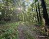 Lot #27 Dove Drive, Morgantown, West Virginia 26508, ,Lots/land,For Sale,Dove,10160646