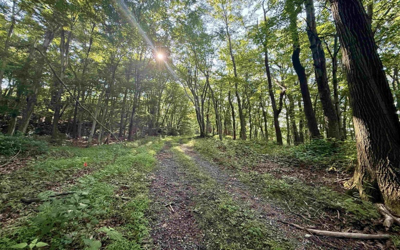 Lot #27 Dove Drive, Morgantown, West Virginia 26508, ,Lots/land,For Sale,Dove,10160646