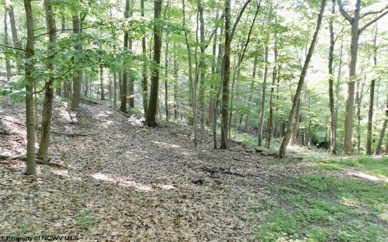 Lot #27 Dove Drive, Morgantown, West Virginia 26508, ,Lots/land,For Sale,Dove,10160646