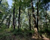 Lot #27 Dove Drive, Morgantown, West Virginia 26508, ,Lots/land,For Sale,Dove,10160646