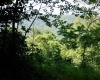 Lot #27 Dove Drive, Morgantown, West Virginia 26508, ,Lots/land,For Sale,Dove,10160646