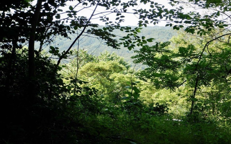 Lot #27 Dove Drive, Morgantown, West Virginia 26508, ,Lots/land,For Sale,Dove,10160646