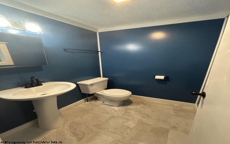 7798 Route 20 South Road, French Creek, West Virginia 26218, 3 Bedrooms Bedrooms, 7 Rooms Rooms,1 BathroomBathrooms,Single Family Detached,For Sale,Route 20 South,10160638