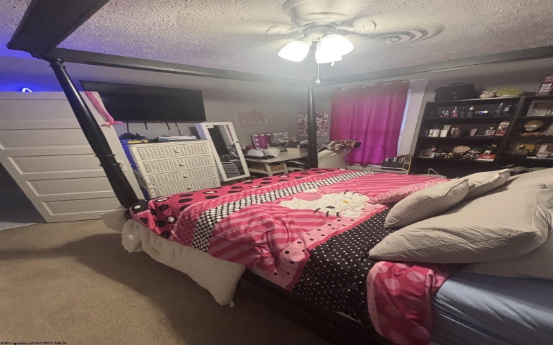 199 Camden Avenue, Buckhannon, West Virginia 26201, 4 Bedrooms Bedrooms, 10 Rooms Rooms,2 BathroomsBathrooms,Single Family Detached,For Sale,Camden,10160652
