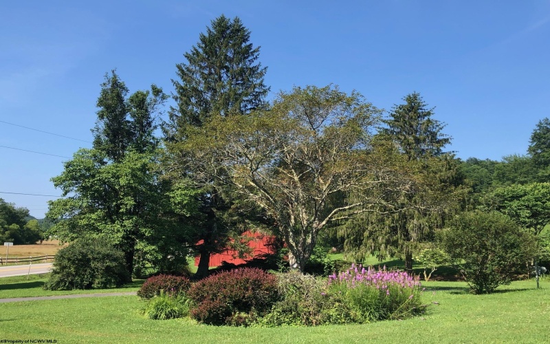 21916 U.S. Highway 19 South, Ireland, West Virginia 26376, 4 Bedrooms Bedrooms, 10 Rooms Rooms,2 BathroomsBathrooms,Single Family Detached,For Sale,U.S. Highway 19,10160667