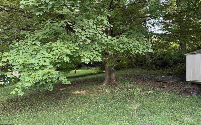 106 Elizabeth Circle, Kingwood, West Virginia 26537, 3 Bedrooms Bedrooms, 6 Rooms Rooms,1 BathroomBathrooms,Single Family Detached,For Sale,Elizabeth,10160700