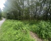 153 Windflower Drive, Terra Alta, West Virginia 26764, ,Lots/land,For Sale,Windflower,10160721