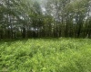 153 Windflower Drive, Terra Alta, West Virginia 26764, ,Lots/land,For Sale,Windflower,10160721