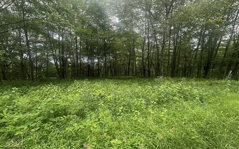 153 Windflower Drive, Terra Alta, West Virginia 26764, ,Lots/land,For Sale,Windflower,10160721