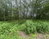 153 Windflower Drive, Terra Alta, West Virginia 26764, ,Lots/land,For Sale,Windflower,10160721