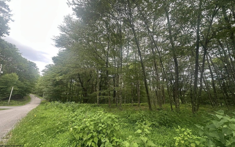 153 Windflower Drive, Terra Alta, West Virginia 26764, ,Lots/land,For Sale,Windflower,10160721