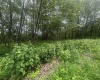 153 Windflower Drive, Terra Alta, West Virginia 26764, ,Lots/land,For Sale,Windflower,10160721