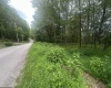 153 Windflower Drive, Terra Alta, West Virginia 26764, ,Lots/land,For Sale,Windflower,10160721