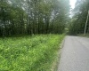 153 Windflower Drive, Terra Alta, West Virginia 26764, ,Lots/land,For Sale,Windflower,10160721